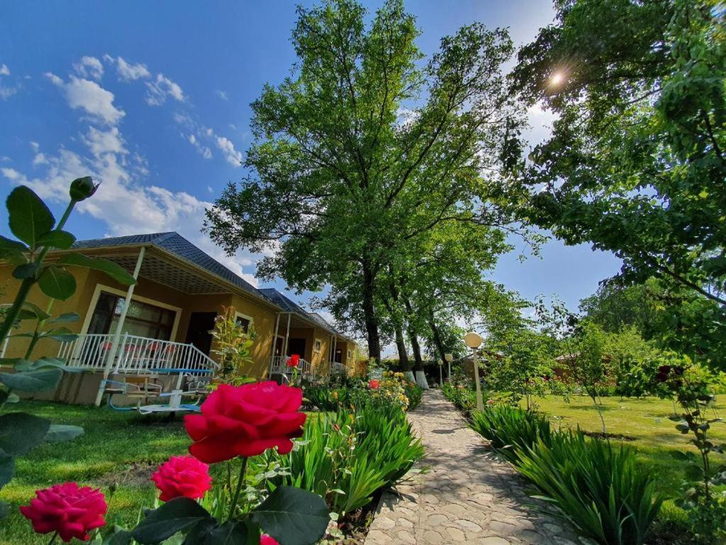 Zangazur Hotel & Cottages Qusar Zewnętrze zdjęcie